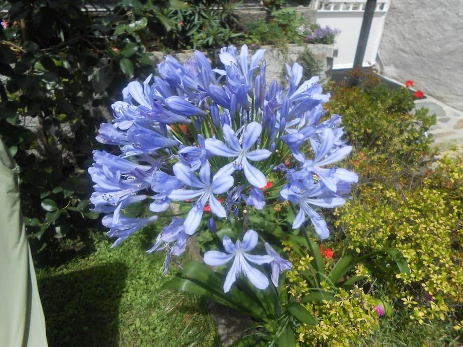 Casa Colori Villa Poggiridenti Buitenkant foto
